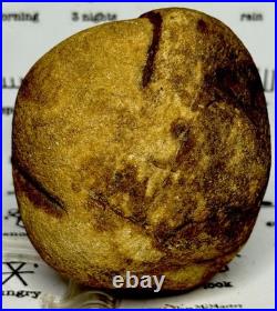 Native American Indian Authentic Artifact Stone Effigy Carved, 1 lb 10 oz. VA
