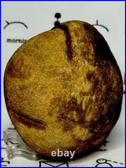 Native American Indian Authentic Artifact Stone Effigy Carved, 1 lb 10 oz. VA