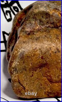 Native American Indian Authentic Artifact Stone Effigy Carved, 1 lb 3 oz. VA