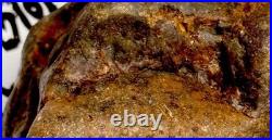 Native American Indian Authentic Artifact Stone Effigy Carved, 1 lb 3 oz. VA