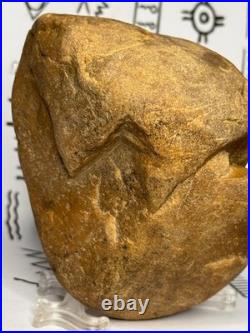 Native American Indian Authentic Artifact Stone Effigy Carved, 1 lb 8 oz. VA Native American Indian Authentic Artifact Stone Effigy Carved, 1 lb 8 oz. VA