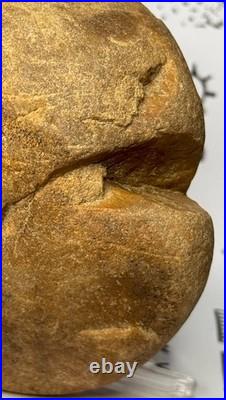 Native American Indian Authentic Artifact Stone Effigy Carved, 1 lb 8 oz. VA Native American Indian Authentic Artifact Stone Effigy Carved, 1 lb 8 oz. VA