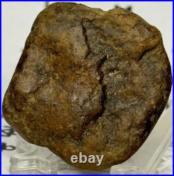 Native American Indian Authentic Artifact Stone Effigy Carved, 1 oz. VA