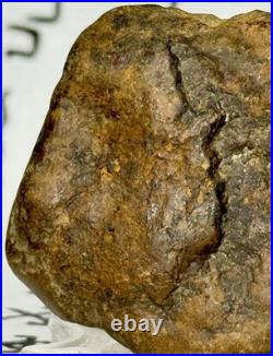 Native American Indian Authentic Artifact Stone Effigy Carved, 1 oz. VA