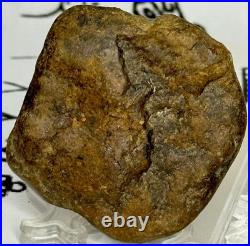 Native American Indian Authentic Artifact Stone Effigy Carved, 1 oz. VA