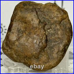 Native American Indian Authentic Artifact Stone Effigy Carved, 1 oz. VA