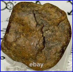 Native American Indian Authentic Artifact Stone Effigy Carved, 1 oz. VA