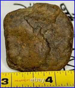 Native American Indian Authentic Artifact Stone Effigy Carved, 1 oz. VA