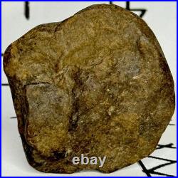 Native American Indian Authentic Artifact Stone Effigy Carved, 1 oz. VA