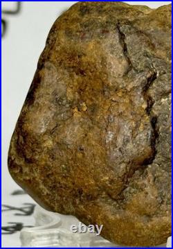 Native American Indian Authentic Artifact Stone Effigy Carved, 1 oz. VA