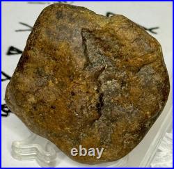 Native American Indian Authentic Artifact Stone Effigy Carved, 1 oz. VA