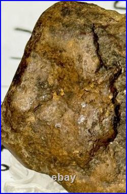 Native American Indian Authentic Artifact Stone Effigy Carved, 1 oz. VA