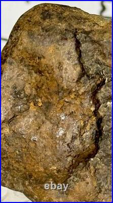 Native American Indian Authentic Artifact Stone Effigy Carved, 1 oz. VA