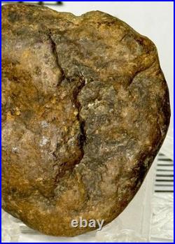 Native American Indian Authentic Artifact Stone Effigy Carved, 1 oz. VA