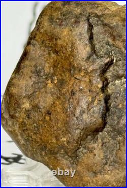 Native American Indian Authentic Artifact Stone Effigy Carved, 1 oz. VA