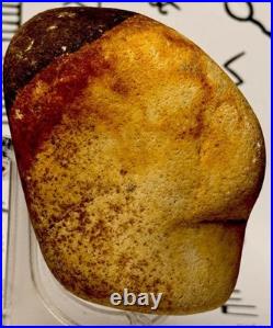 Native American Indian Authentic Artifact Stone Effigy Carved, 11.9 oz. VA