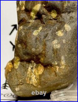 Native American Indian Authentic Artifact Stone Effigy Carved, 11.9 oz. VA