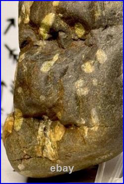 Native American Indian Authentic Artifact Stone Effigy Carved, 11.9 oz. VA