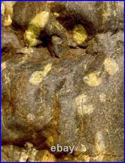 Native American Indian Authentic Artifact Stone Effigy Carved, 11.9 oz. VA