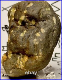 Native American Indian Authentic Artifact Stone Effigy Carved, 11.9 oz. VA