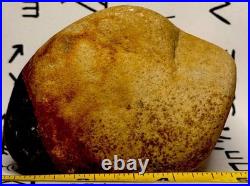 Native American Indian Authentic Artifact Stone Effigy Carved, 11.9 oz. VA