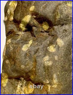 Native American Indian Authentic Artifact Stone Effigy Carved, 11.9 oz. VA
