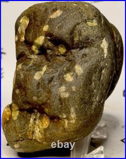 Native American Indian Authentic Artifact Stone Effigy Carved, 11.9 oz. VA