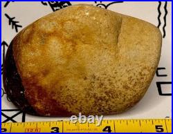 Native American Indian Authentic Artifact Stone Effigy Carved, 11.9 oz. VA