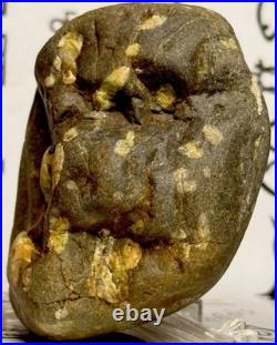 Native American Indian Authentic Artifact Stone Effigy Carved, 11.9 oz. VA