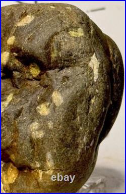 Native American Indian Authentic Artifact Stone Effigy Carved, 11.9 oz. VA