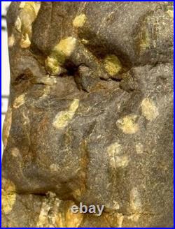 Native American Indian Authentic Artifact Stone Effigy Carved, 11.9 oz. VA