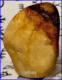 Native American Indian Authentic Artifact Stone Effigy Carved, 11.9 oz. VA