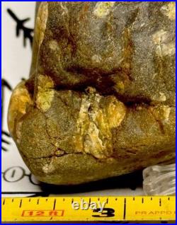 Native American Indian Authentic Artifact Stone Effigy Carved, 11.9 oz. VA