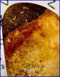 Native American Indian Authentic Artifact Stone Effigy Carved, 11.9 oz. VA