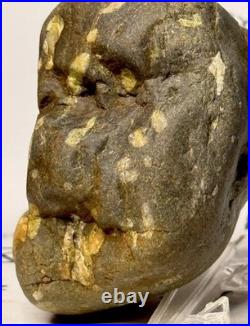 Native American Indian Authentic Artifact Stone Effigy Carved, 11.9 oz. VA