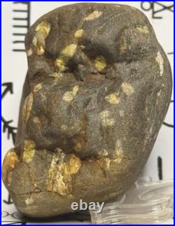 Native American Indian Authentic Artifact Stone Effigy Carved, 11.9 oz. VA