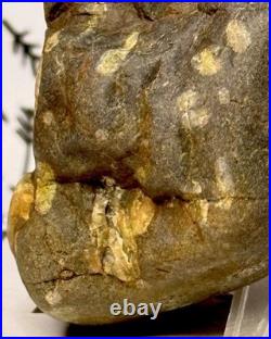 Native American Indian Authentic Artifact Stone Effigy Carved, 11.9 oz. VA