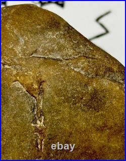 Native American Indian Authentic Artifact Stone Effigy Carved, 15.3 oz. VA Native American Indian Authentic Artifact Stone Effigy Carved, 15.3 oz. VA