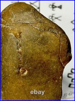 Native American Indian Authentic Artifact Stone Effigy Carved, 15.3 oz. VA Native American Indian Authentic Artifact Stone Effigy Carved, 15.3 oz. VA