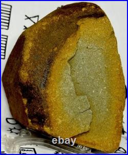 Native American Indian Authentic Artifact Stone Effigy Carved, 2 lb 12 oz. VA Native American Indian Authentic Artifact Stone Effigy Carved, 2 lb 12 oz. VA