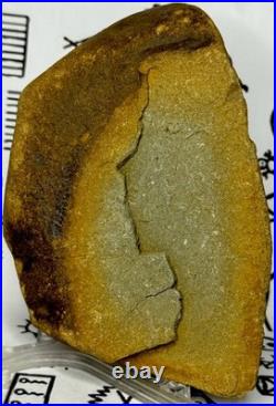 Native American Indian Authentic Artifact Stone Effigy Carved, 2 lb 12 oz. VA