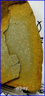 Native American Indian Authentic Artifact Stone Effigy Carved, 2 lb 12 oz. VA