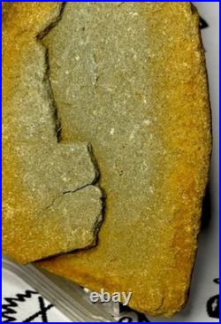 Native American Indian Authentic Artifact Stone Effigy Carved, 2 lb 12 oz. VA