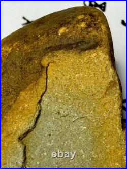 Native American Indian Authentic Artifact Stone Effigy Carved, 2 lb 12 oz. VA