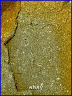 Native American Indian Authentic Artifact Stone Effigy Carved, 2 lb 12 oz. VA