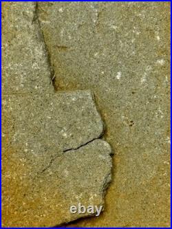 Native American Indian Authentic Artifact Stone Effigy Carved, 2 lb 12 oz. VA