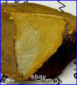 Native American Indian Authentic Artifact Stone Effigy Carved, 2 lb 12 oz. VA