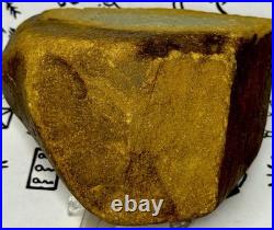 Native American Indian Authentic Artifact Stone Effigy Carved, 2 lb 12 oz. VA Native American Indian Authentic Artifact Stone Effigy Carved, 2 lb 12 oz. VA