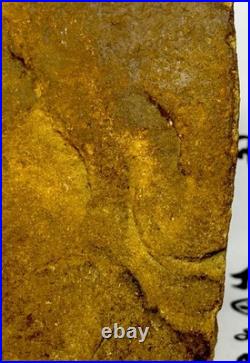 Native American Indian Authentic Artifact Stone Effigy Carved, 2 lb 12 oz. VA Native American Indian Authentic Artifact Stone Effigy Carved, 2 lb 12 oz. VA