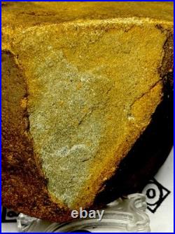 Native American Indian Authentic Artifact Stone Effigy Carved, 2 lb 12 oz. VA